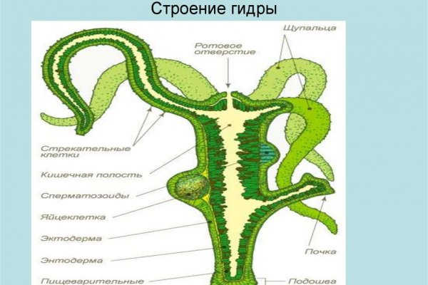 Кракен даркнет слушать