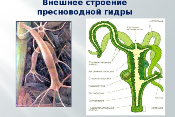 Кракен невозможно зарегистрировать пользователя