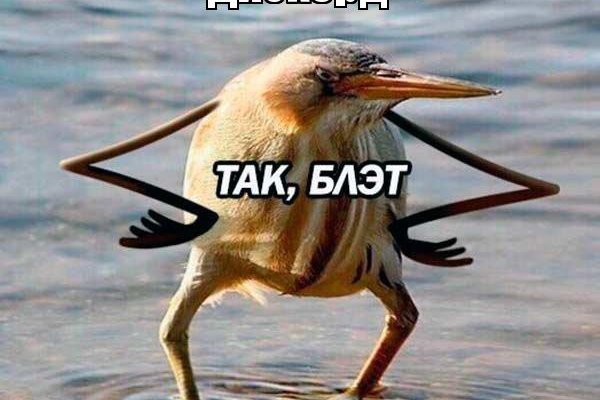 Kraken официальный сайт ссылка krk store com
