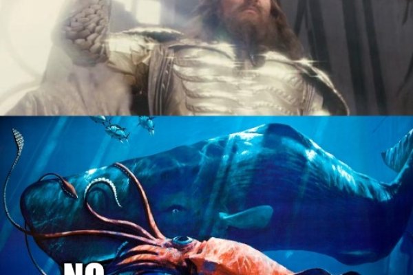 Как найти kraken
