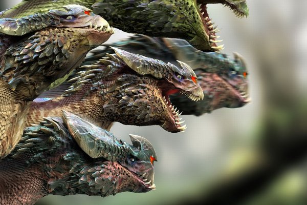 Как найти kraken