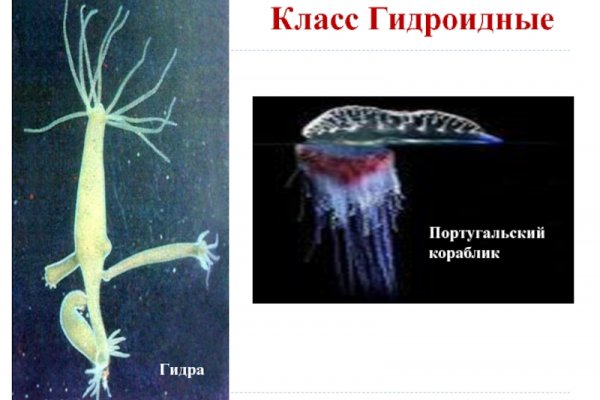 Кракен оф