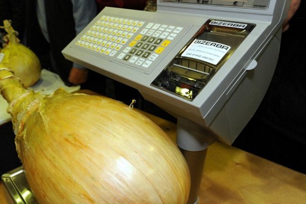 Ссылка на сайт кракен в тор браузере