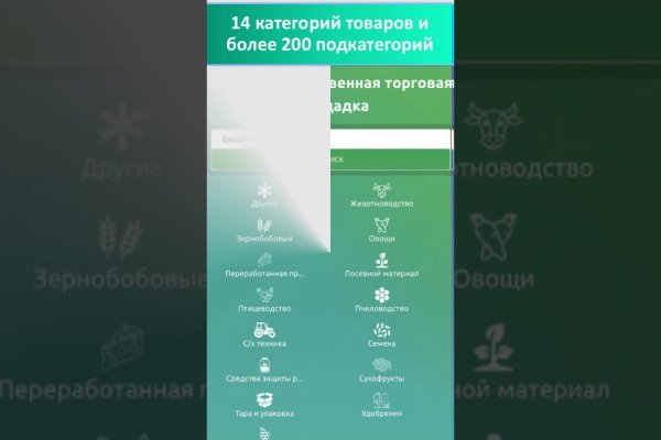 Kraken ссылка на сайт актуальная