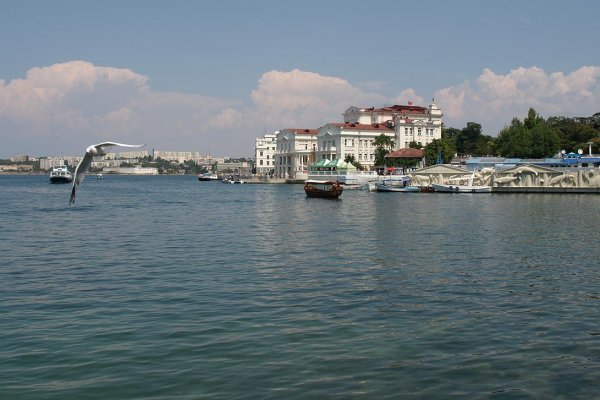 Кракен топ