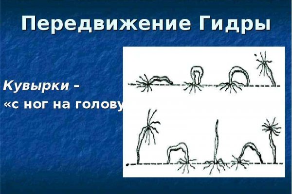 Кракен найдется все