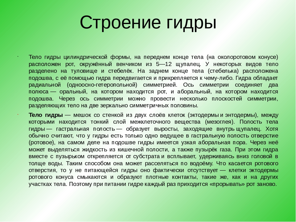 Kraken пользователь не найден при входе